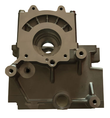 Z20S Z20S1 Z20DM Z20DMH رأس الاسطوانة لGM OPEL Antara Chevrolet Cruze Captivia Epica Nubira Lacetti 2.0L 8V المحرك 96440128 96440132